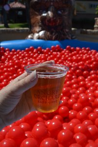 Case Study Slider Image