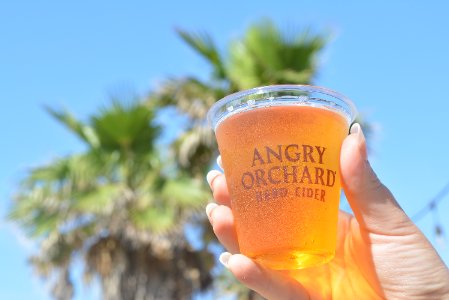 Case Study Slider Image