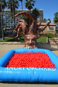 Case Study Slider Image