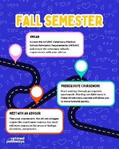 Case Study Slider Image