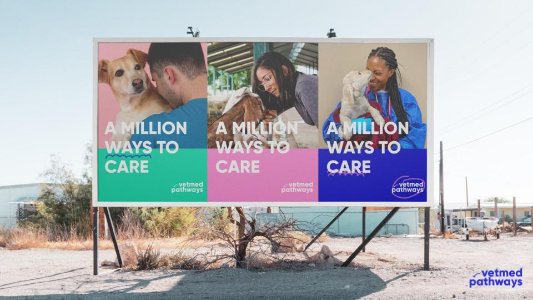 Case Study Slider Image