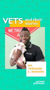 Case Study Slider Image