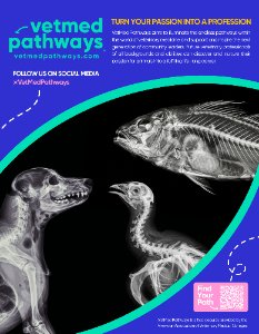 Case Study Slider Image