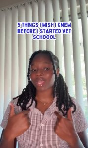 Case Study Slider Image