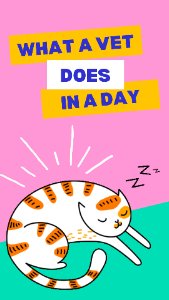 Case Study Slider Image