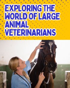 Case Study Slider Image