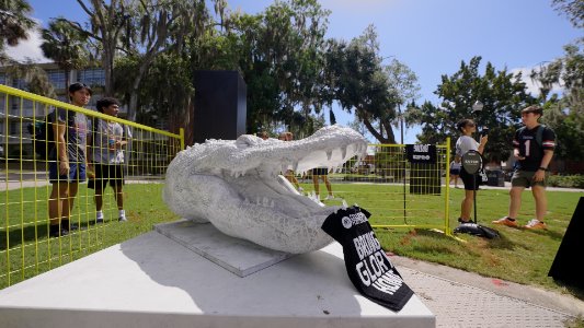 Case Study Slider Image