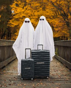 Case Study Slider Image