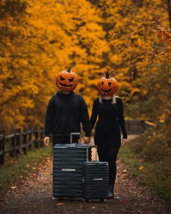 Case Study Slider Image