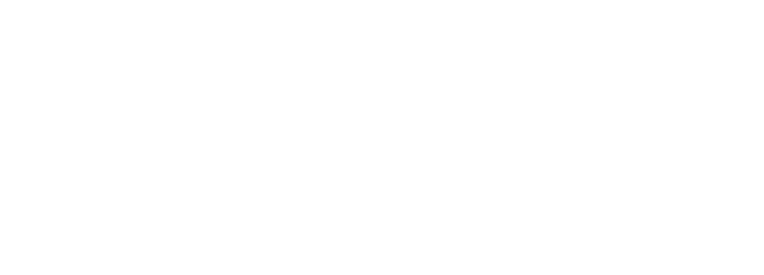 capital one client logo