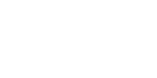 levi's client logo